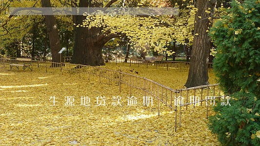 生源地贷款逾期 逾期罚款 生源地贷款逾期 逾期罚款